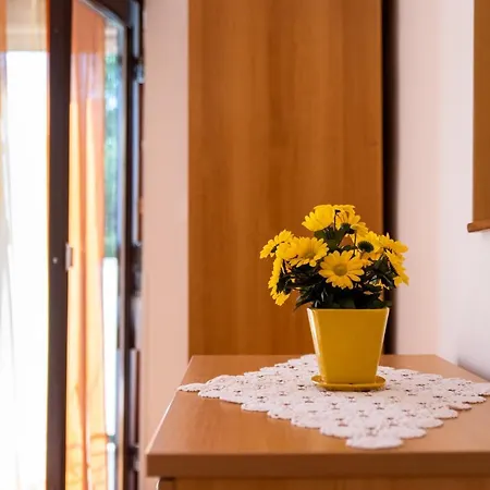 Centar דירה Palit