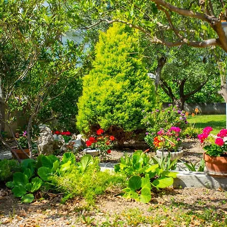 Centar דירה Palit