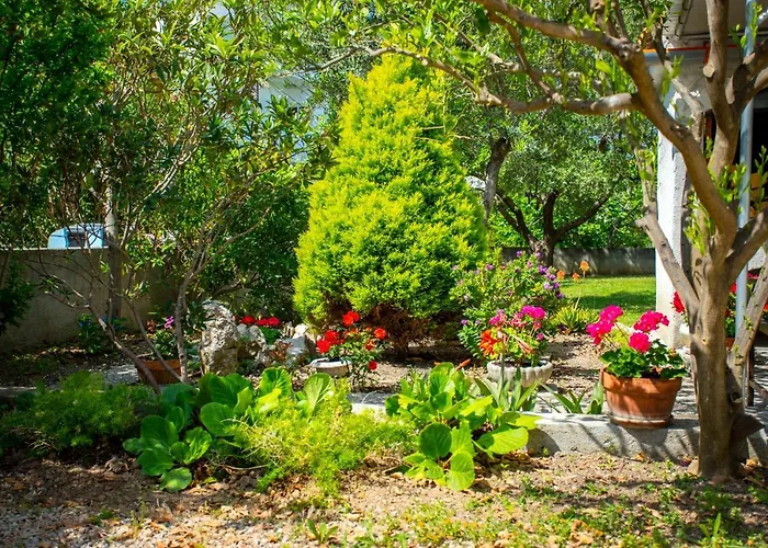 Centar Apartament Palit