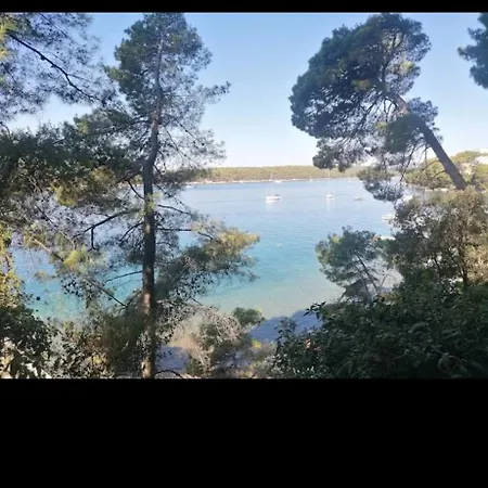 Centar Apartman Palit