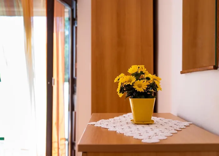 Centar Apartment Palit